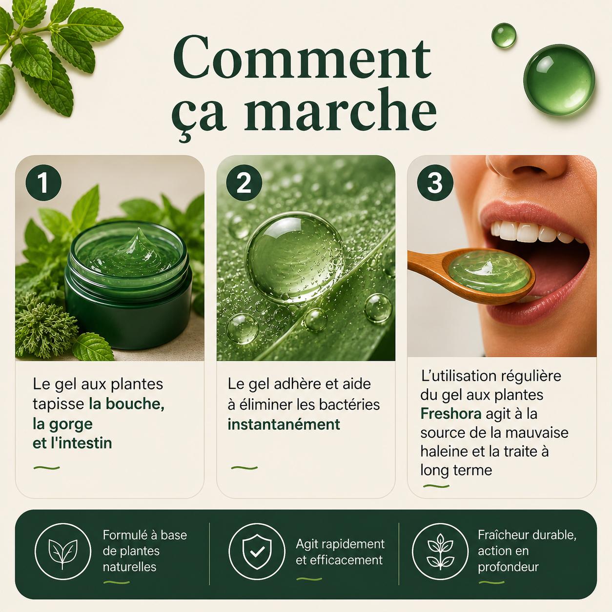 Freshora™ — Complément Naturel Anti-Mauvaise Haleine & Odeurs Corporelles